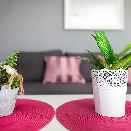 Nuevo Loft Vistas דירה